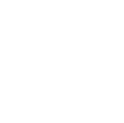 S4 Logo